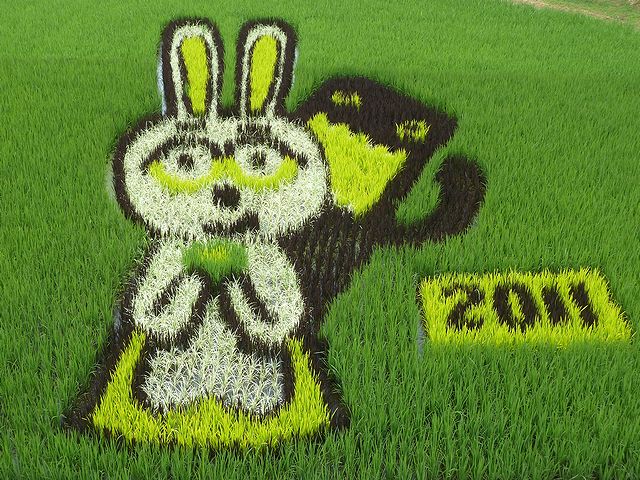 2011����Į�Ĥ�ܥ����ȡ����ܼ����Τ����ܼ򥷥�åפ���ߤ�